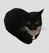 Thanakrit Pisitsetthapong Avatar
